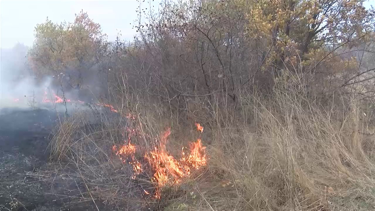Пожар избухна край димитровградското село Добрич