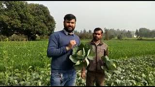 Download lagu 𝐇𝐲𝐛𝐫𝐢𝐝 𝐂𝐚𝐛𝐛𝐚𝐠𝐞 𝐏𝐚𝐧 𝟏𝟏𝟗𝟐 - 𝐊𝐑𝐑𝐈𝐒𝐇 - Field Testimonial Video mp3 Download lagu 𝐇𝐲𝐛𝐫𝐢𝐝 𝐂𝐚𝐛𝐛𝐚𝐠𝐞 𝐏𝐚𝐧 𝟏𝟏𝟗𝟐 - 𝐊𝐑𝐑𝐈𝐒𝐇 - Field Testimonial Video mp3
