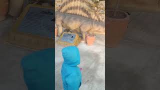 Download lagu Dino world fun#dino shorts#amazing Dino park mp3