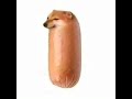 Spanish Flea by Herb Alpert & The Tijuana Brass playing over a picture of an upset dog as a sausage.
