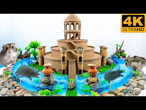 Hamster Maze - Build Hamster Maze from cardboard DIY and Turtle Pond
