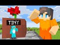 Using TINY In Hide And Seek Minecraft Prop Hunt