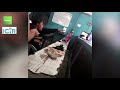 REPORTER S DIARY Living With A Mad Cell Mate Set Up By Warders Abducted By The Police 3