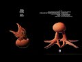 Riblja čorba Volim Volim Volim Volim žene Official Music Audio