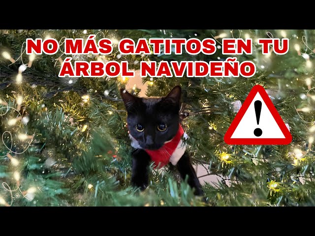 Vídeo relacionado con REFLYING Protector de Cable para Perros y Gatos, 3 Metros-9,5mm Manguitos para Cable, Protege los Cables de los Mordiscos de Las Mascotas, Manguito de Gestión de Cables Trenzado Expandible, Negro