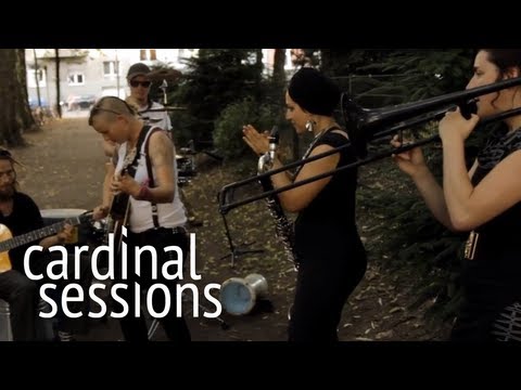The Barons Of Tang - Tin Can Alchemy - CARDINAL SESSIONS