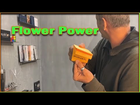 Voir la vidéo Flower Power - Alan Wong