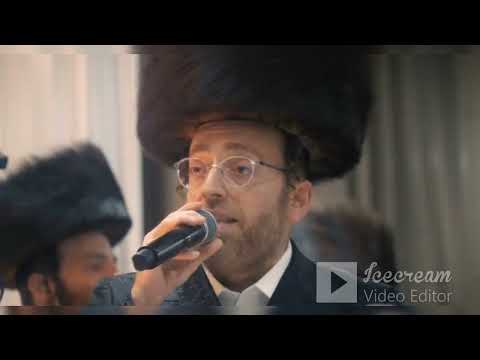 אהרלה סמט ומאיר אדלר חתונה לבנון