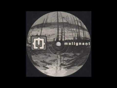 Network23-29 -  Somatic Responses / Caustic Visions - A1 - Untitled