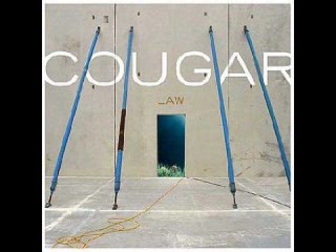 Cougar - Your Excellency