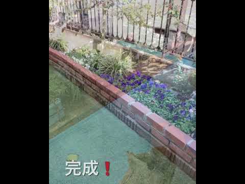 メンテナンス不要の花壇 - 最小限の労力で最大の効果を発揮  庭園