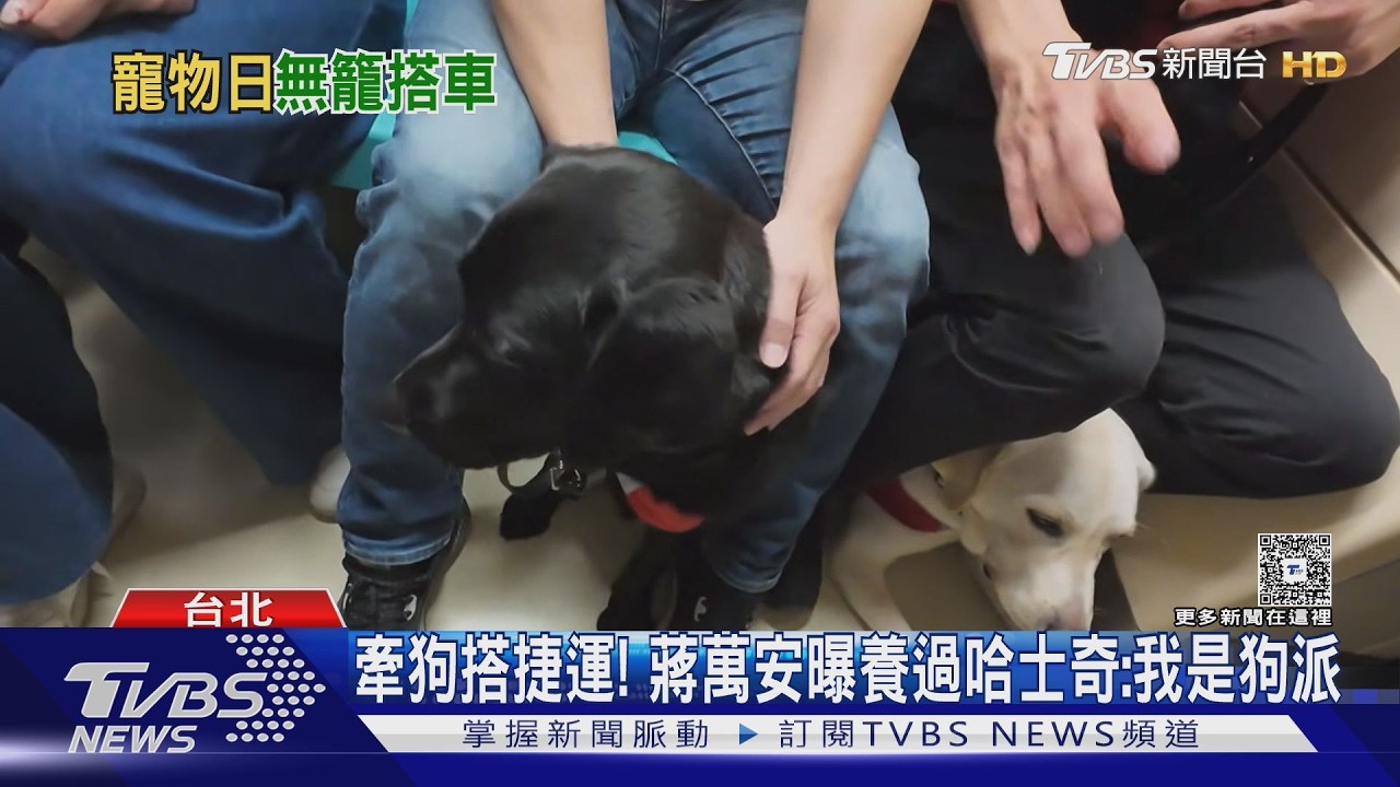 影音/北捷「狗狗友善列車」出發! 上車後免關籠 蔣萬安曝狗派