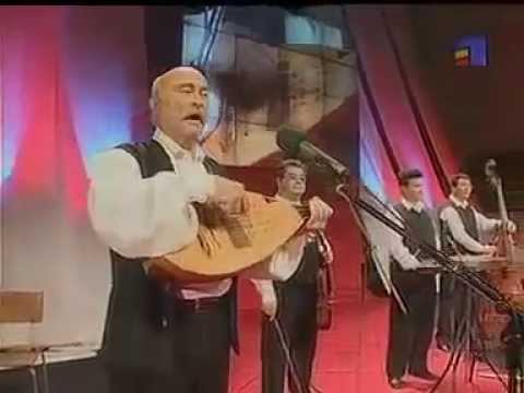 Tudor Gheorghe - Petrecere cu taraf (fragment)