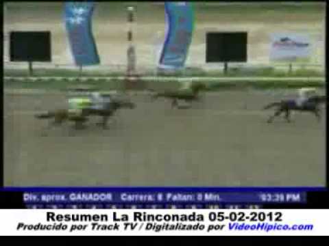 Resumen de las carreras del 5-2-2012 (La Rinconada)