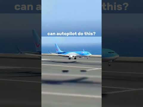 pilots are useless😒| meanwhile pilots😎#plane #airplane #edit #aircraft #edit #shorts