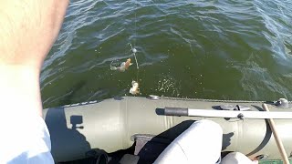 Снасти на бычка своими руками