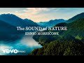 Ennio Morricone - The Sound of Nature (Season 3: Spring) - Soundtracks Collection - Rem... - EnnioMorriconeVEVO Ennio Morricone - The Sound of Nature (Season 3: Spring) - Soundtracks Collection - Rem...