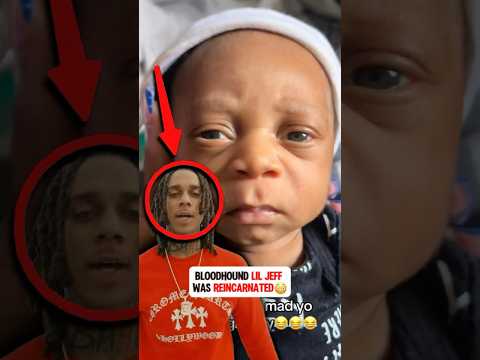 Bloodhound Lil Jeff Was Reincarnated😳 #bloodhoundliljeff ￼