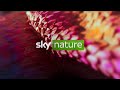 Sky Nature DE INTRO