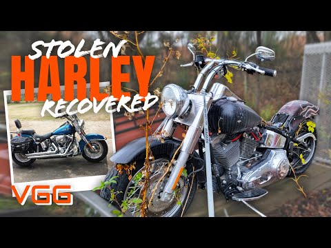 ABANDONED-STOLEN-RECOVERED! Will This HARLEY DAVIDSON Run and Ride Again After YEARS?