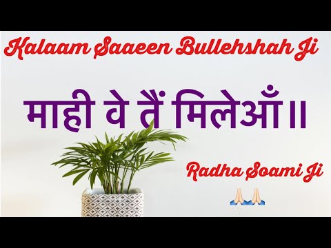 Mahi Ve Tain Mileya RADHA SOAMI JI || Kalaam Saaeen Bullehshah Ji || #ruhani_shabad13