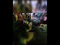 2023 Mariamman Gangaiamman Festival Nagathamman 9