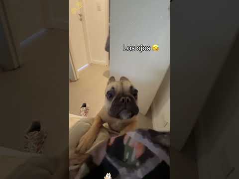 Phillies land All-Star closer Jhoan Duran ahead of MLB trade deadline 👀🔥 #jhoanduran