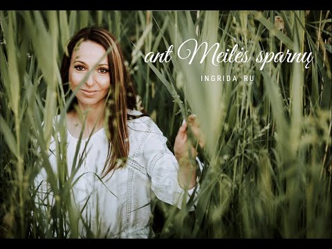 Ingrida Ru - Ant Meilės Sparnų