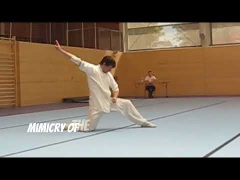 Zui Quan in 2 Minutes | Just The Basics