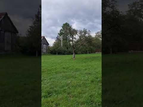 Dejani septembrie 2020