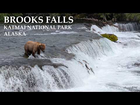 Brooks Falls. Katmai National Park, Alaska. #katmainationalpark #alaska #bears #salmonrun #seaplane