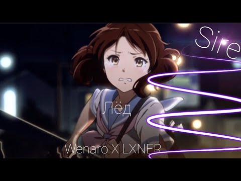 · WENARO · LXNER Лед