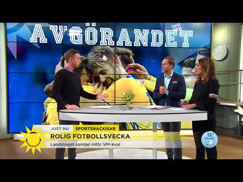 Så ser Sveriges chanser ut i VM-kvalet  - Nyhetsmorgon (TV4)