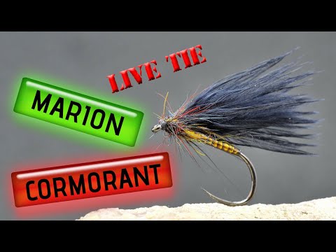 Live Fly Tying, How to tie the Marion Cormorant