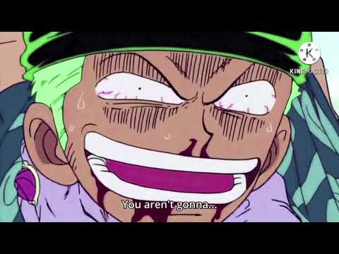 Times when Zoro wants to kill luffy