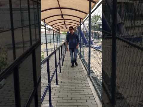 HIREN PATEL Tere Dar Pr...