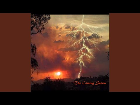 Journey Into the Woods