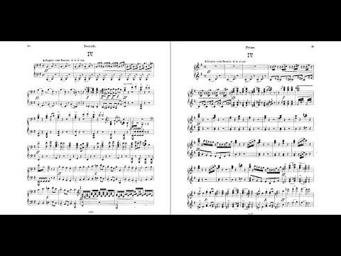 Dvořák - Symphony 9 (IV. Allegro con fuoco) 4-hand arrangement for piano - Duo Solot