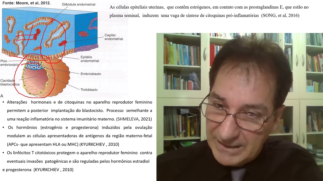 Infecções urinárias e riscos materno fetais