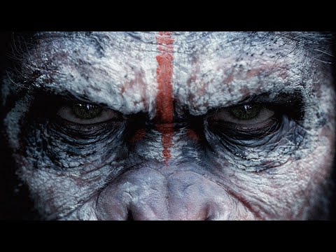 🎧 Morttagua - Misharu # Progressive House