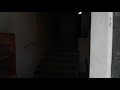 Olti Djali Djali I Rruges AUDIO