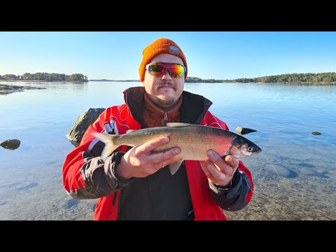 Siikaongella, 2021 eka video. Enkat paukkuu!