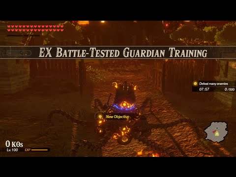 Hyrule Warriors: AoC - EX Battle-Tested Guardian Training.
