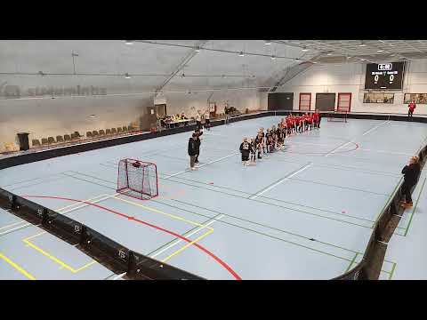 P11 Welhot Wings vs Josba punainen