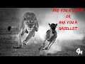 The Difference Between a Lion and a Gazelle | Eric Thomas Motivation @etthehiphoppreacher