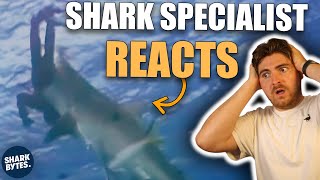 Shark Specialist Reacts To SHOCKING Shark Attacks