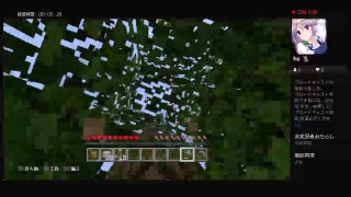 マイクラプレイ