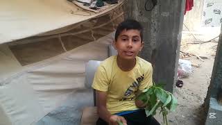 Daily suffering in Gaza