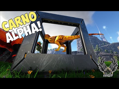 CONSEGUIMOS O DNA DO ALPHA CARNO!! ep.11 - ARK ACA REDEMPTION VOLCANO
