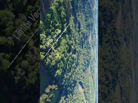 22,5 ha en Venta - San Vicete